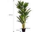 PLANTASIA Dracaena sztuczne drzewo 120 cm, 81 liści