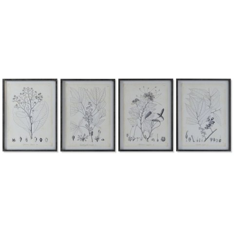 Obraz DKD Home Decor Nowoczesny Rośliny botaniczne 45 x 2,5 x 60 cm (4 Sztuk)