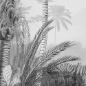 Komar Fototapeta Lac Tropical Black & White, 200x270 cm