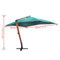 Parasol ogrodowy podwieszany, 300x400 cm, zielony