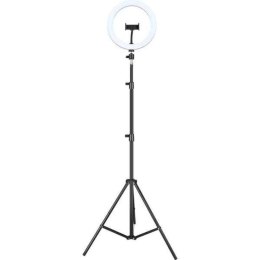 Lampa Pierścieniowa do Selfie iggual IGG317242 Tripod Ø 25 cm