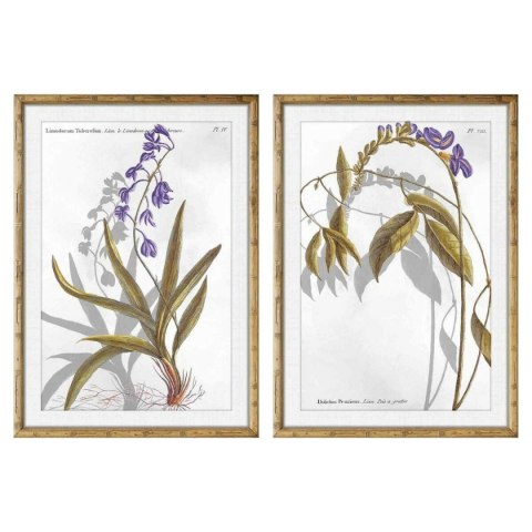 Obraz DKD Home Decor 50 x 2 x 70 cm Nowoczesny Rośliny botaniczne (2 Sztuk)