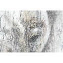 Zestaw 2 obrazów DKD Home Decor Słoń Kolonialny 120 x 3,7 x 120 cm