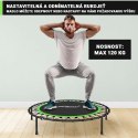 Trampolina Physionics Fitness do wnętrz i na zewnątrz - 101