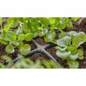 Złącze węża Gardena "Easy & Flexible" 13214-20 Krzyż 3/16" 4,6 mm 10 Sztuk