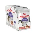 Karma dla kota Royal Canin Feline Sterilised in Sosse Mięso 12 x 85 g