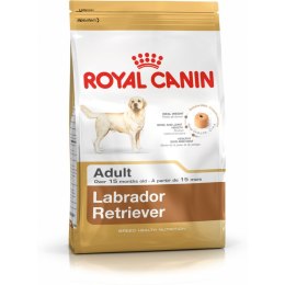 Karma Royal Canin Labrador Retriever Adult Dorosły kurczak Ryż Ptaki 12 kg