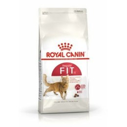 Karma dla kota Royal Canin Feline Fit Dorosły 2 Kg