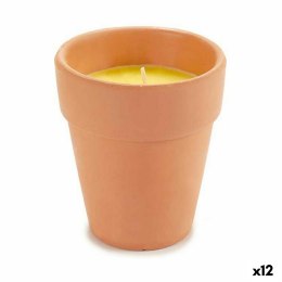 Świeca Citronella 8 x 8 x 8 cm (12 Sztuk)