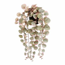 Roślina Dekoracyjna Mica Decorations Ceropegia Woodii 10 x 46 x 12 cm Sztuczna Do zawieszenia