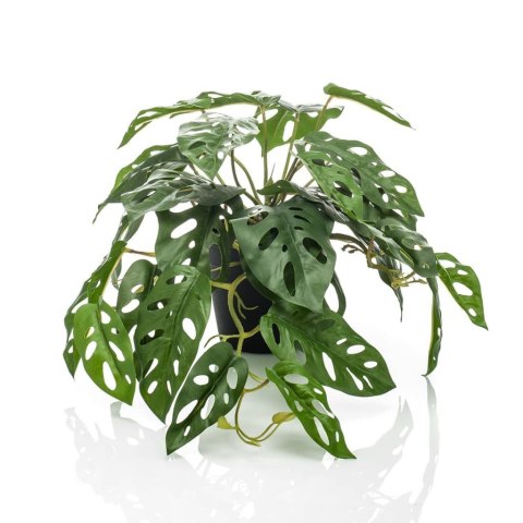 Emerald Sztuczna monstera Monkey w doniczce, 55 cm