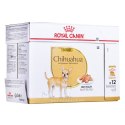 Mokre jedzenie Royal Canin Chihuahua Adult 85 g