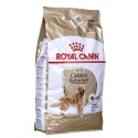 Karma Royal Canin Golden Retriever Adult Dorosły kurczak Mięso Ptaki 12 kg 12,5 Kg