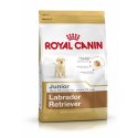 Karma Royal Canin Labrador Retriever Junior Szczeniak/Junior kurczak Ryż Kukurydza Ptaki 12 kg