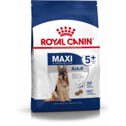 Karma Royal Canin Maxi Adult 5+ Dorosły kurczak Ryż Ptaki 15 kg