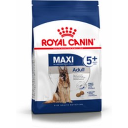 Karma Royal Canin Maxi Adult 5+ Dorosły kurczak Ryż Ptaki 15 kg