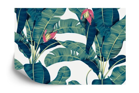 Fototapeta Botanical Seamless Pattern, Hand Drawn Banana Tree On Bright Grey