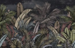 Fototapeta Pattern Wallpaper Jungle Tropical Drawings Of Palms Trees And Birds Of Different Colors With Birds And Black Backgrou