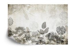 Fototapeta Tropical Trees And Leaves For Digital Printing Wallpaper, Custom Design Wallpaper - 3D