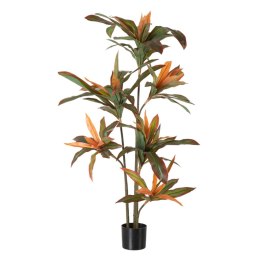 Roślina Dekoracyjna Dracaena Brązowy Kolor Zielony PVC 140 cm