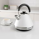 Czajnik Morphy Richards 100134 Biały Stal nierdzewna 2200 W 1,5 L