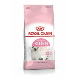 Karma dla kota Royal Canin Kitten Ptaki 4 Kg