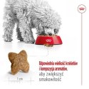 Karma Royal Canin Adult Mini S Ptaki 2 Kg