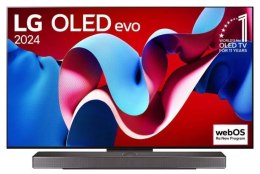 TV SET OLED 65