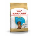 Karma Royal Canin Breed Dachshund Jun Szczeniak/Junior Ryż Warzywo Ptaki 1,5 Kg