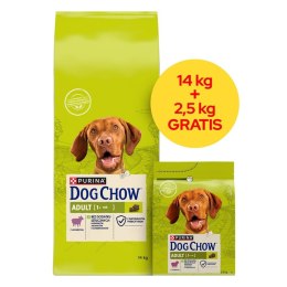 Karma Purina Dog Chow Adult Lamb Jagnięcina