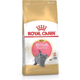 Karma dla kota Royal Canin British Shorthair Kitten kurczak Warzywo Ptaki 2 Kg