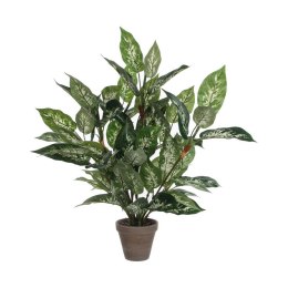 Roślina Dekoracyjna Mica Decorations Dieffenbachia Dieffenbachia Kolor Zielony PVC (15,7 x 70 cm)