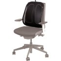 Oparcie do Siedzenia Fellowes 9191301 Ergonomiczny Ajustable Czarny Plastikowy