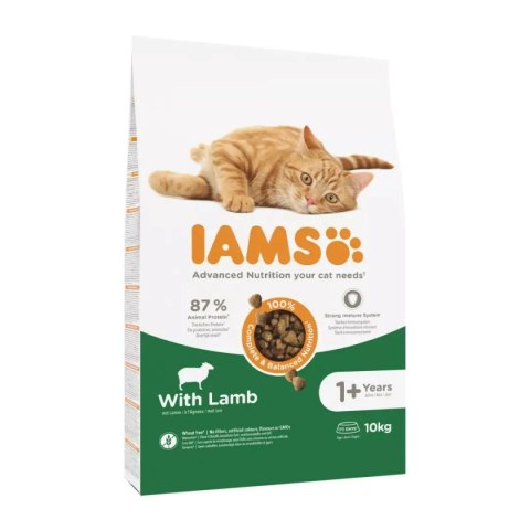 Karma dla kota IAMS Advanced Nutrition Cat Adult Jagnięcina 10 kg