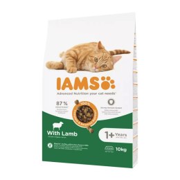 Karma dla kota IAMS Advanced Nutrition Cat Adult Jagnięcina 10 kg