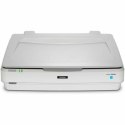 Skaner Epson Expression 13000XL