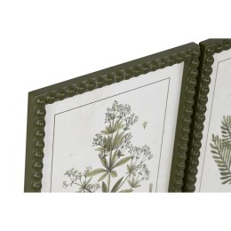 Obraz Home ESPRIT Kolor Zielony Beżowy Shabby Chic Rośliny botaniczne 30 x 2,5 x 40 cm (4 Sztuk)