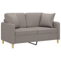 2-osobowa sofa z poduszkami, taupe, 120 cm, tkanina